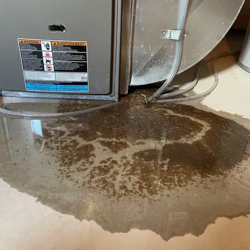 Appliance Leak Cleanup in Omro, WI